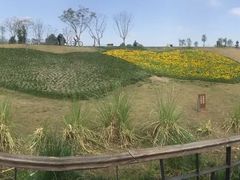 -白鹭湾湿地公园