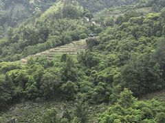 -石台牯牛降景区
