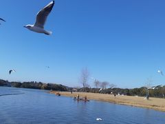-渤公岛生态公园