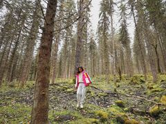 -硗碛藏寨·神木垒景区