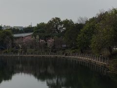 -南溪山景区