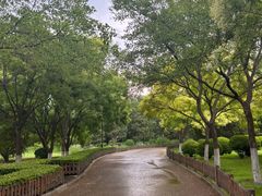 -莲花池公园
