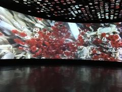 -同济大学四平路校区深海探索馆