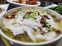 酸菜鱼片-协和菜馆(凤凰街店)