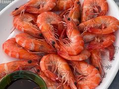 -明记海鲜大排档(巽寮湾店)