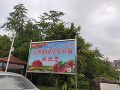 -南沙蒲洲花园