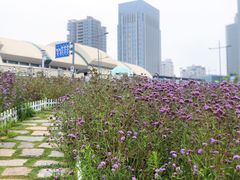 -在海一方公园