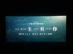 -深影国际影城(学院南路店CGS中国巨幕店)