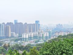 -金鸡山公园