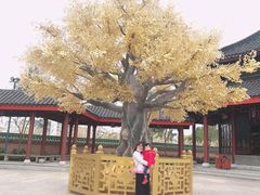 -广东圆玄道观