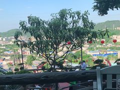 -枇杷园食为鲜火锅(南山店)