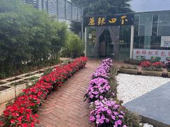 -蘑统田下·野生菌火锅