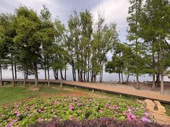 -洱海月湿地公园