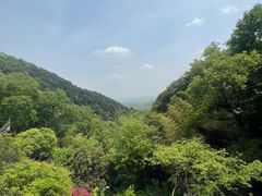 -韬光茶庵