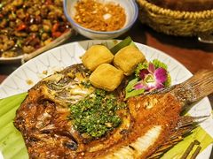-紫滇源云南生态菜(丹凤街店)