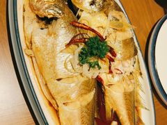 油泼黄花鱼-波螺油子·海肠捞饭·青岛菜(市南银座店)