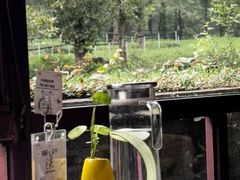 -野蔓果·山野菜(西湖景区·龙井茶田店)