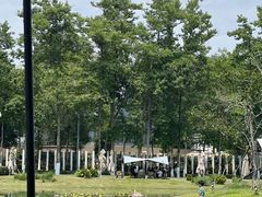 -夏河溪乡野公园