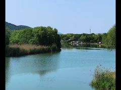-长广溪湿地公园