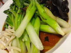 -新白鹿餐厅(百联中环店)