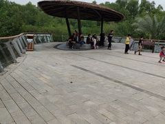 -大亚湾红树林城市湿地公园
