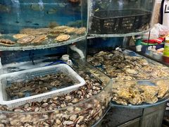 -鑫渔港海鲜本地菜·山海关浑锅(东戴河店)