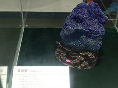 -中国第四纪冰川遗迹陈列馆