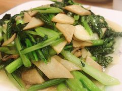 鲜菌炒菜心-丽华餐厅·天津菜(艳阳路店)