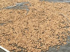 -东天目山风景区