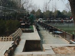 -尚庄度假村·庭台树下·户外烧烤·团建CS·轰趴营地(上庄水库店)