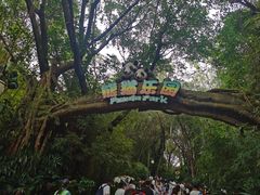 -广州长隆野生动物世界