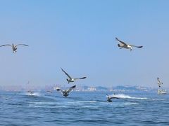 -大连海昌东方水城