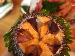 活海胆-万岛日本料理铁板烧(太古里店)