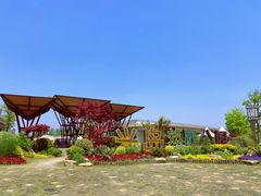 -上海长兴岛郊野公园