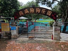 -良成狗狗乐园