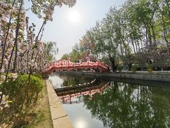 -元大都城垣遗址公园