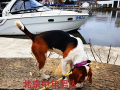 -浙江西子宾馆·牡丹厅
