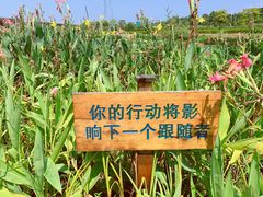 -那考河湿地公园