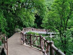 -少华山国家森林公园