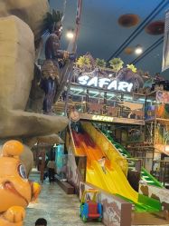 -卡通尼·Safari非洲探索乐园·生日会(金桥国际商业广场店)