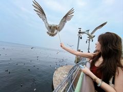 -东港音乐喷泉广场