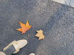 -颐和路民国时期公馆风貌区