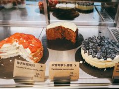 -Wagas沃歌斯(汇智店)