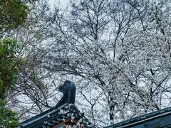 -东湖生态旅游风景区