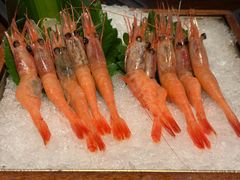 -Mr.Fish鱼鲜生海鲜放题(高德置地冬广场店)