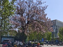 -北京西国贸大酒店