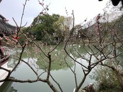 -上海醉白池公园
