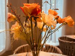 -Tomacado花厨(One ITC店)