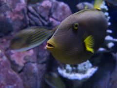 -成都浩海立方海洋公园