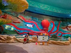 -青岛嘉年华主题乐园